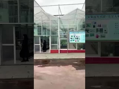 Pabrik asam amino Sichuan Shihong-Lulu