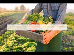 Biofertilizer asam amino cair EcoGrow ️ Tahan stres, pembaruan tanah, pertanian dengan hasil tinggi