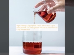 Oligopeptida Stabilitas Tinggi & Pupuk Cairan Asam Amino Bebas dengan Seng, Mangan, dan Silikon untuk Peningkatan Kinerja Tanaman