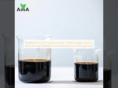PeptideFlow Ca-B Transport Cair – Penyerapan Cepat Kalsium, Boron & Peptida Kecil untuk Ekspansi Sel Buah yang Dipercepat