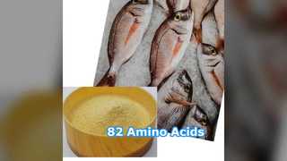 Tingkatkan Tanaman Pupuk Organik Asam Amino 82%.