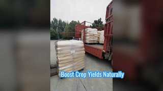 Biostimulan Kolagen Premium untuk Hasil Tanaman Tinggi