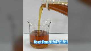 Meningkatkan Hasil Fermentasi Protein Kedelai Enzimatik