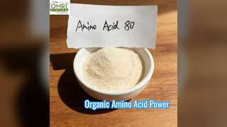 Pupuk Asam Amino Organik 80% Nitrogen