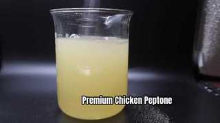 Pepton Ayam Kelas Biologis