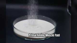 Pemulihan Pertumbuhan Otot Amino Hewan Primal