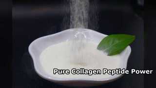 Food Grade Kolagen Peptida Murni 90 Persen