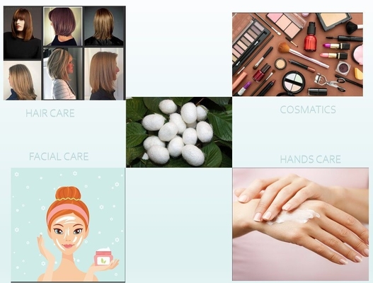 Cosmetic Ingredients Silk Amino Acid Powder Silk Protein raw material