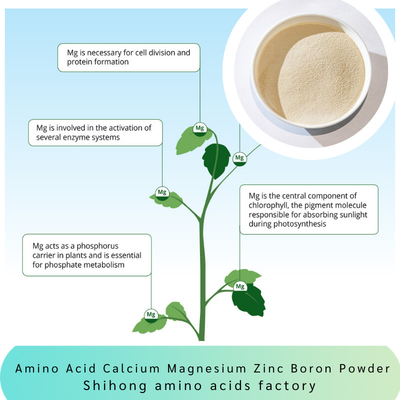 Mango Amino Acid Calcium Magnesium Zinc Boron Powder Fertilizer Vegetable Fruits