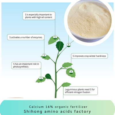 High Nitrogen Content 100% Soluble Yellow Calcium Amino Acid Chelate Benefits