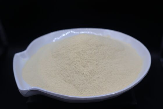 Natural Enzyme Amino Acid Mix for Enhanced Nutrient Absorption Digestive Health Support and Muscle Recovery