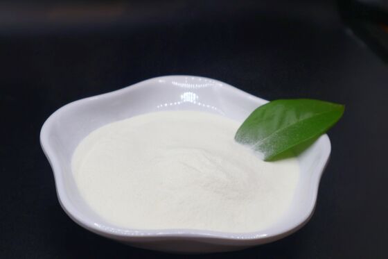 Hydrolyzed Bovine Collagen Peptide with 97.5% Protein, 9.9% Hydroxyproline, and <3000 Da Molecular Weight