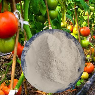 PH7-9 Fulvic Humic Acid Amino Acid Powder Fertilizer 52% 65072-01-7