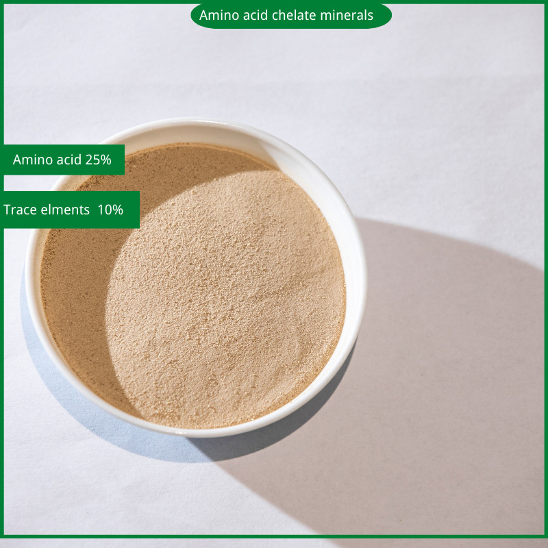 Amino Acid Chelated Organic Calcium Iron Magnesium Zinc Boron Copper Manganese Agricultural Fertilizers