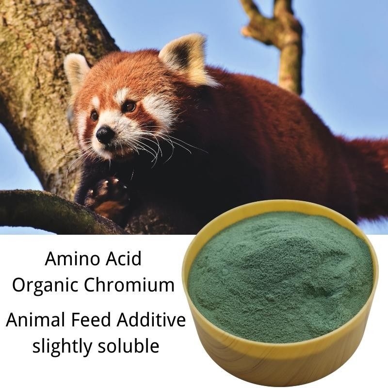 Organic Animal Amino Acid Pet Feed Additive