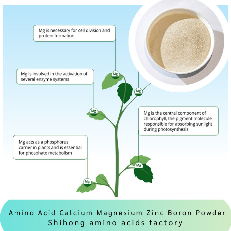 Mango Amino Acid Calcium Magnesium Zinc Boron Powder Fertilizer Vegetable Fruits