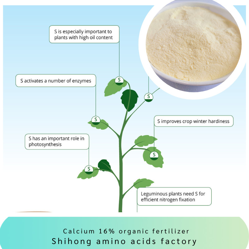High Nitrogen Content 100% Soluble Yellow Calcium Amino Acid Chelate Benefits
