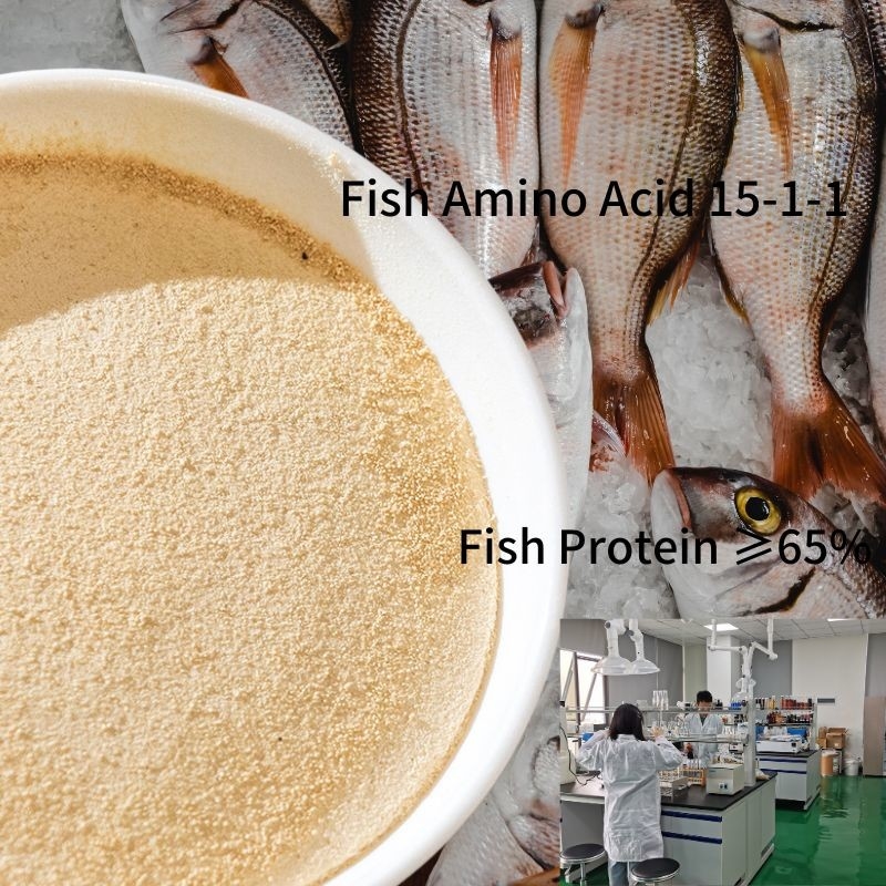 Amino Acids Powder Fertilizer Ph4-6 Fish Free Amino Acid 12% Natural Protein Source